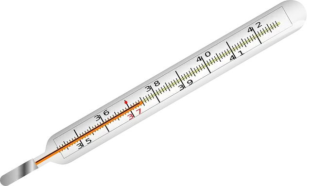 Thermometer Example of Analog Computer
